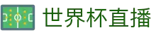 玩球直播App下载入口|足球直播、篮球直播与实时比分一站查看